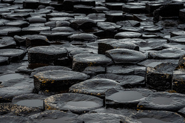 Close up of the natural hexagonal stones at the coast called Giant's Causeway, a landmark in Northern Ireland.