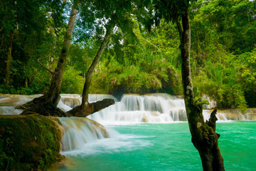 Tat Kuang Si Falls near to popular travel destination Luang Prabang in Laos. Three level waterfall with turquoise blue pools surrounded with lush green tropical jungle.