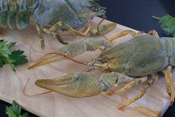 Seafood. Green crayfish with spices on a wooden board.