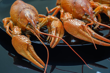 Fresh boiled crayfish. On a black plate.