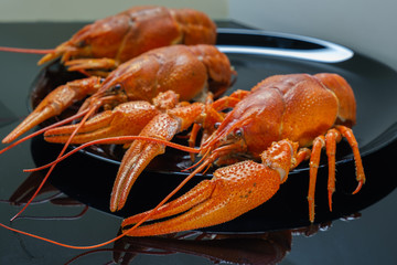 Fresh boiled crayfish on a black plate.