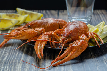 Fresh boiled crayfish. On a black plate with yellow lemon.