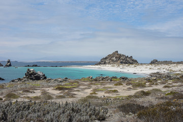 Isla Dama, national reserve, tourism in punta de choros, coquimbo region, chile