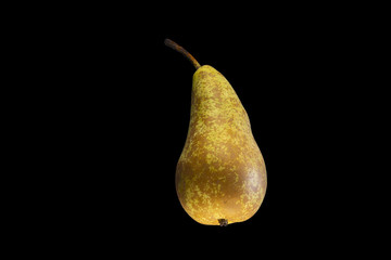  Pear conference, yellow fruit lying autumn, on black background
