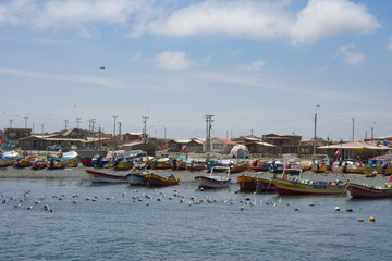 Fototapeta na wymiar Fishing boats in Caleta de Chañaral. Punta de Choros, Coquimbo region, Chile