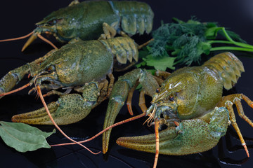 Green crayfish. Preparation for cooking.