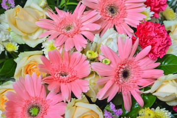 Bouquet of pink gerbera daisies . Pink blooming gerbera with roses flowers. flower bouquets , bunch of flowers