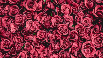 Fototapeten Natürlicher roter Rosentexturhintergrund, schöne Rosentextur für Abdeckungs- oder Fahnenhintergrund, romantischer Hintergrund der Liebe. © Hide_Studio