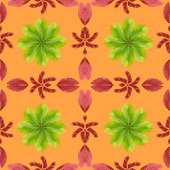 tropical exotic plant leaf,green leaves pattern are made new color for nature concept,abstract background for textile and fabric design,isolated on orange background