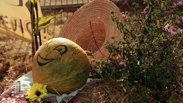 Beautiful still life. Autumn fall topic. Amazing farm pumpkin. Painted orange vegetable. Happiness, good emotions. Ukrainian style, traditions, harvest of good plants