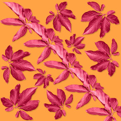 red palm leaves pattern for nature concept,tropical leaf on orange background