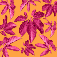 red palm leaves pattern for nature concept,tropical leaf on orange background