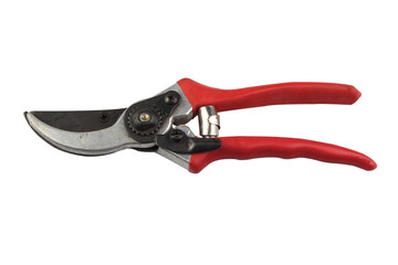 Red pruning shears for Gardening isolated on white background. Tool for Pruning and Cutting. Close up scissor.