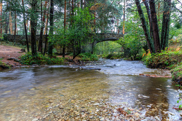 Navalacarreta bridge on the Eresma river as it passes through Valsain, Segovia, Spain