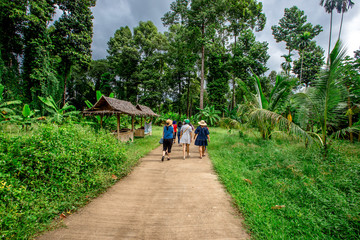 The background of the big tree up close, with big tree roots as long as the growth, the integrity of the ecology that should be preserved