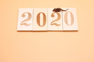 2020 number lined with wooden figures and a little metal mouse next to it.