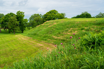 View of Cahokia Mounds State Historic Site