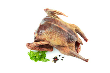 raw pigeon on a white background