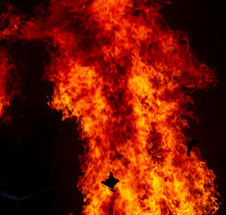 Flame of fire from a burning house as an abstract background