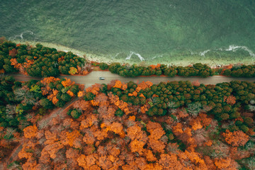 Aerial view of autumn colorful forest and road by the coast. Single car visible.