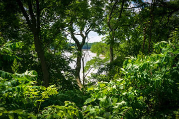 Maumee River Through the Trees at Fort Miamis National Historic Site