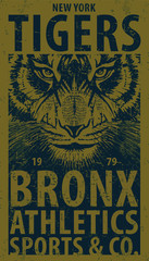 Fototapeta premium tiger illustration art print graphic design 