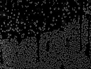 Obraz premium water bubbles on a black background
