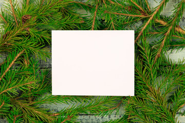 Christmas texture on a blue wooden background  surrounded by spruce branches. White form with a place for recording on branches.