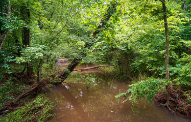 River at George Washington Carver National Monument