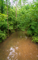 River at George Washington Carver National Monument