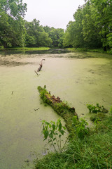 River at George Washington Carver National Monument