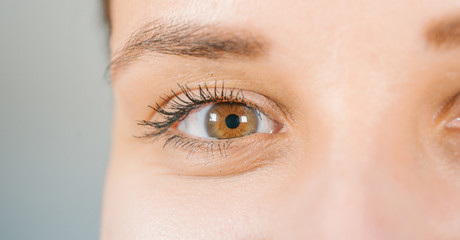Macro image of human eye with contact lens. Woman's eye close-up. Human eye with long eyelashes...
