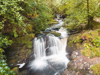 Forest waterfall with flowing water in Killarney national park in Ireland