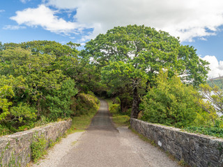 Fototapeta na wymiar Old bridge way in Killarney national park in Ireland
