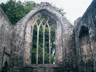 Gothic ruins of Muckross Abbey in Killarney Ireland