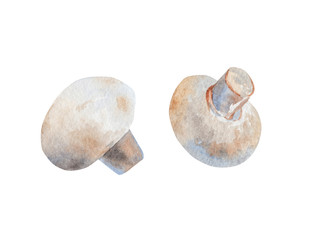 Watercolor set of champignons isolated on white background.