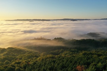 大撫山の朝霧オレンジの雲海