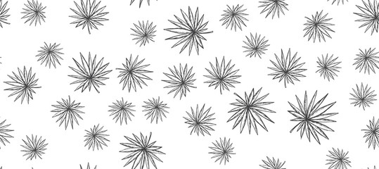 Tropical palm hand drawn illustration