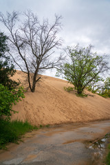 Fototapeta premium Sand dune at Indiana Dunes National Park