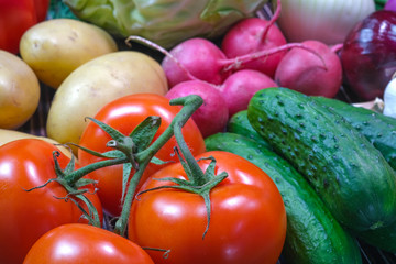 Various vegetables. Potatoes, onions, cabbage, peppers, garlic, carrots, radishes. Tomatoes and cucumbers shot close-up.