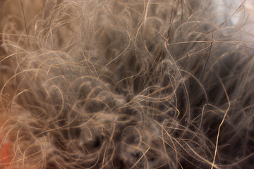 The texture of dry, fluffy grass on a orange brown background