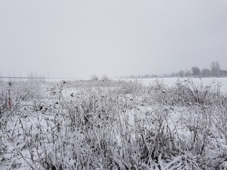 Zaśnieżona polska łąka