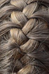 Fototapeta premium Hairstyle