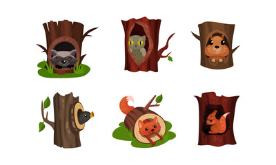 Fototapeta premium Adorable Little Birds And Animals Hidden In The Hollows Of Trees In A Park Or Forest Vector Illustration Set Isolated On White Background