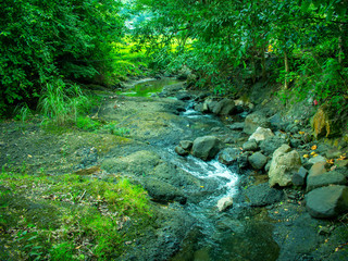Mountain and Island rivers in Philippines