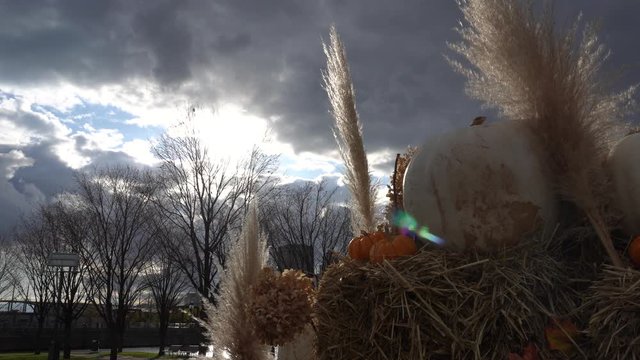 We have the impression to see the gods behind those pumpkins that create a cool effect. In the back, we can see all the leaves gone from the trees.