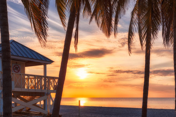Palm trees silhouettes on tropical beach at sunrise in Miami Beach, Florida.