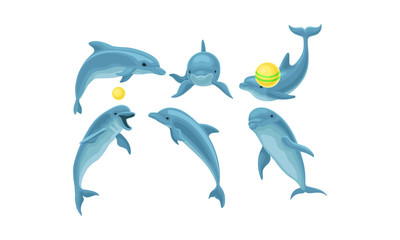 Set Of Blue Dolphins Mading Tricks With Balls Vector Illustration