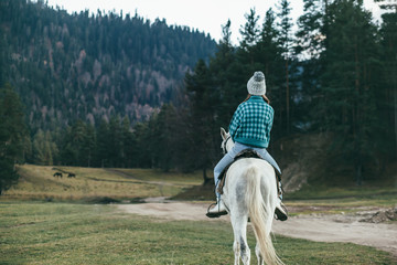 Teen girl riding a horse on meadow