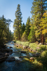Fototapeta na wymiar Beautiful River at Kings Canyon National Park